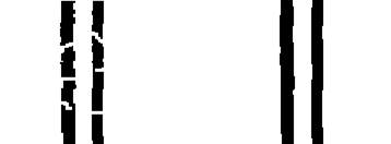 CAD drawing Thickening 8